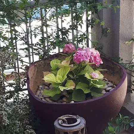 Appartamento Kate-mari House Skala (Kefalonia)