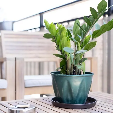 Appartamento Kate-mari House Skala (Kefalonia)